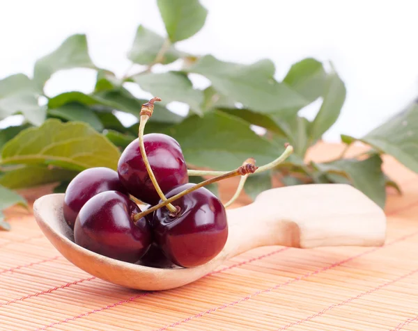 Cereza roja madura — Foto de Stock