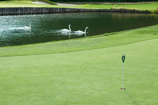 Campo de golfe — Fotografia de Stock