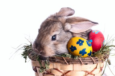 Sanat Küçük Paskalya tavşanı ve yeşil çimlerde Paskalya yumurtaları