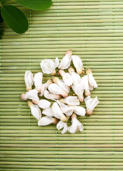 Hierba verde para cubrir el campo deportivo con flores aisladas sobre fondo blanco — Foto de Stock