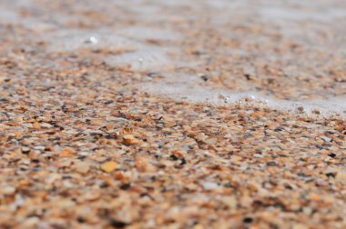 dalga deniz kum üzerinde