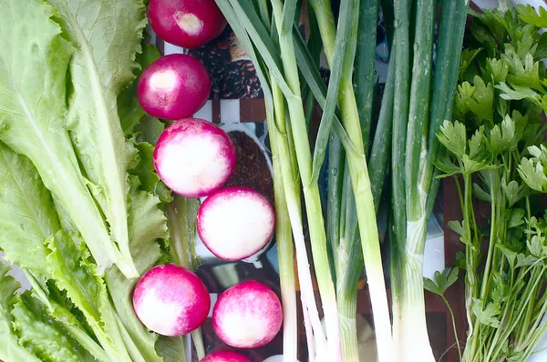 Plate with different food. Green onion close-up — Stock Photo, Image