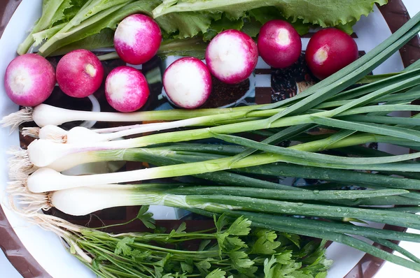 Plate with different food. Green onion close-up — Stock Photo, Image