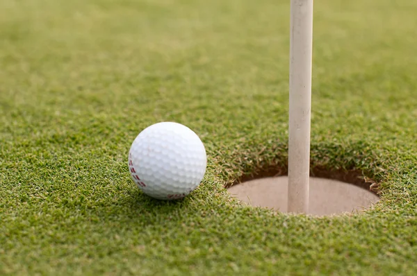 Bola de golfe na grama verde, foco seletivo — Fotografia de Stock