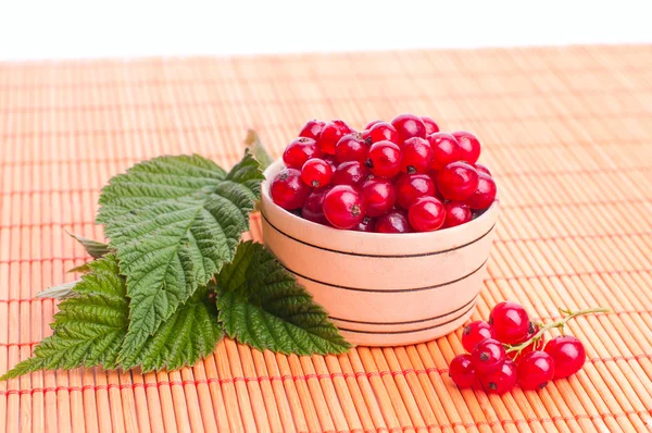 Red Currant close up — Stock Photo, Image