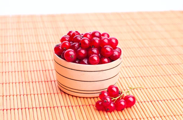 Red Currant close up — Stock Photo, Image