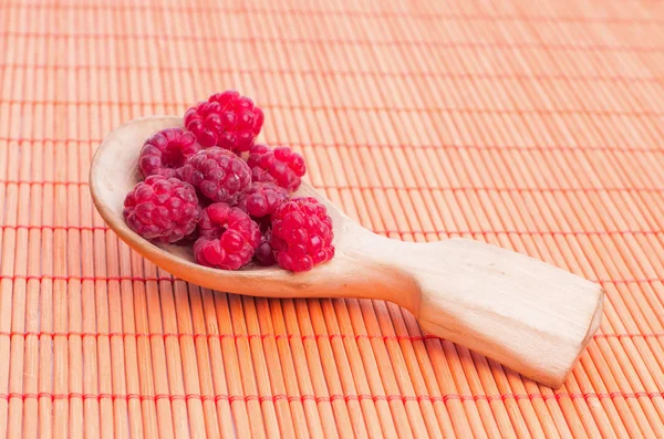 Raspberry isolated — Stock Photo, Image