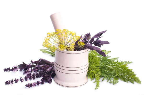 Healing herbs in ceramic mortar — Stock Photo, Image