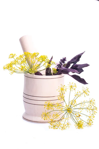 Healing herbs in ceramic mortar — Stock Photo, Image