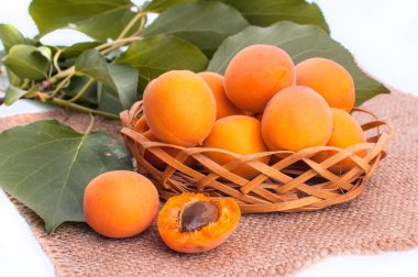 Kayısı ile izole yaprak yeşil