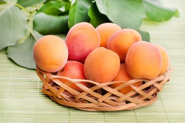 Kayısı ile izole yaprak yeşil