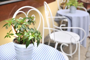 satır boş masa ve sandalyeler