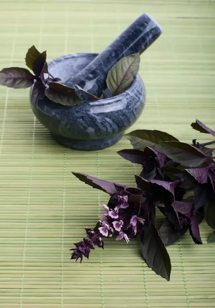 Fresh basil leaves — Stock Photo, Image