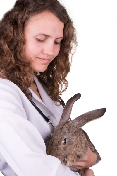 Um veterinário fêmea segurando um coelho — Fotografia de Stock