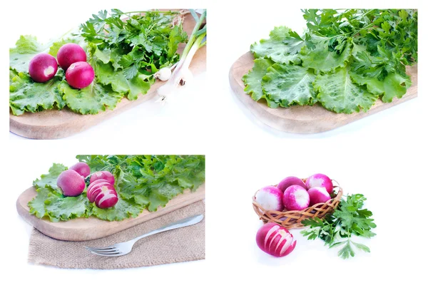 Färska grönsaker sallad i en tallrik, samling — Stockfoto