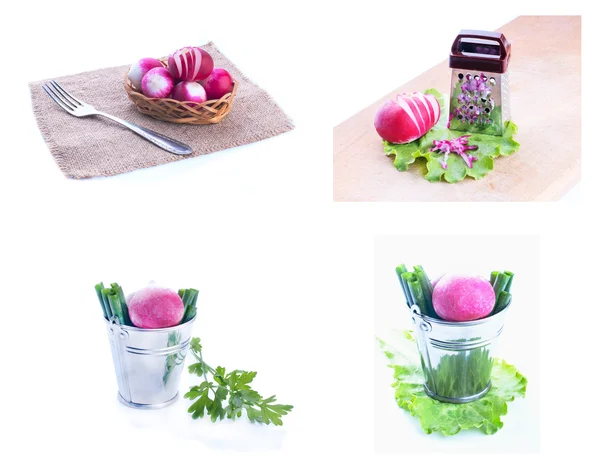 Fresh radish in a bucket isolated,collection — Stock Photo, Image