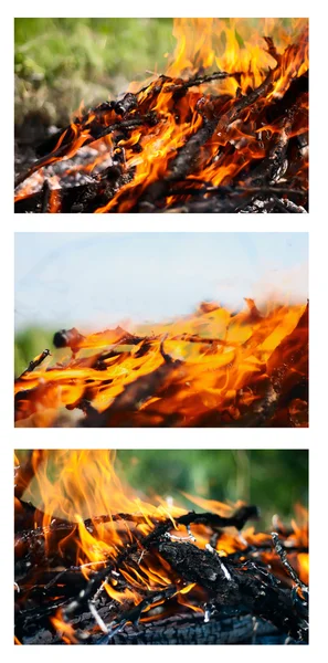 En logg i elden, samling — Stockfoto