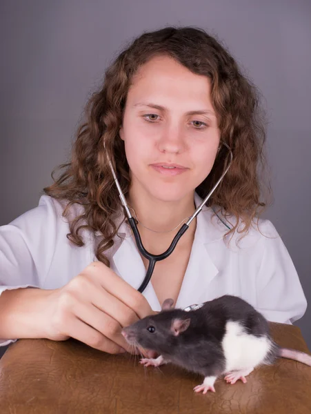 Veterinário jovem mulher — Fotografia de Stock