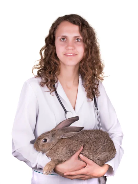 A female vet holding a rabbit — Stock Photo, Image