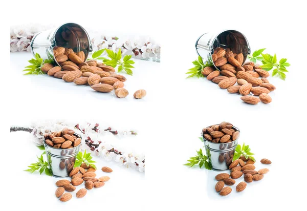 Almonds on a white background,collection — Stock Photo, Image