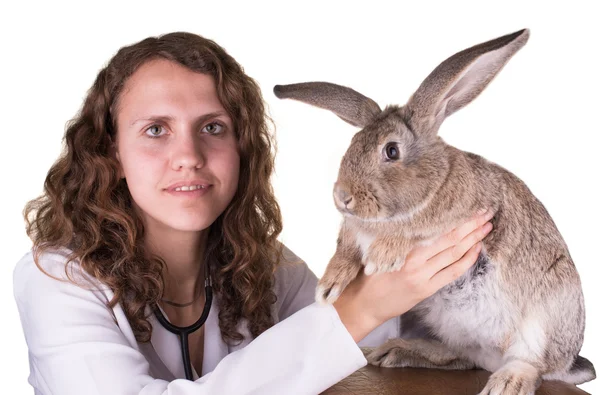 En kvindelig dyrlæge holder en kanin - Stock-foto