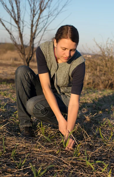 Woman working in the garden — Stock Photo, Image