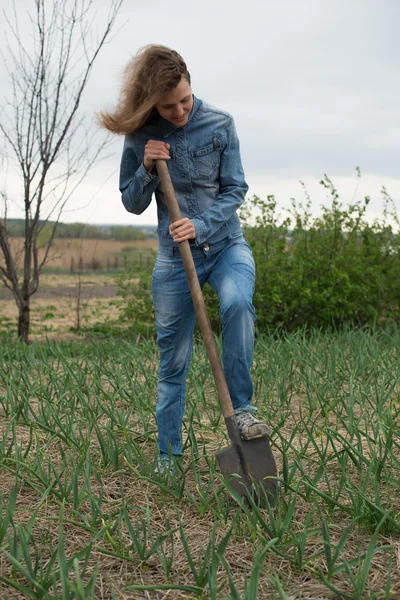 Young woman resetting  raspberry sprouts — Stock Photo, Image