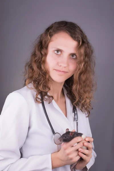 Laboratorium forskning på djur råtta — Stockfoto