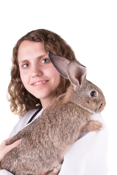 En kvindelig dyrlæge holder en kanin - Stock-foto