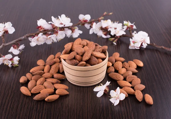 Almond — Stock Photo, Image