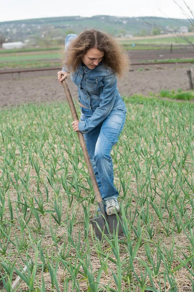 genç kadın ahududu lahanası sıfırlama