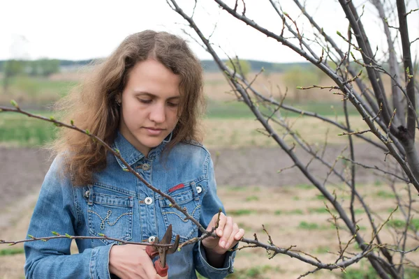 Happy gardener woman using pruning scissors in orchard garden. Pretty female worker portrait — Stock Photo, Image