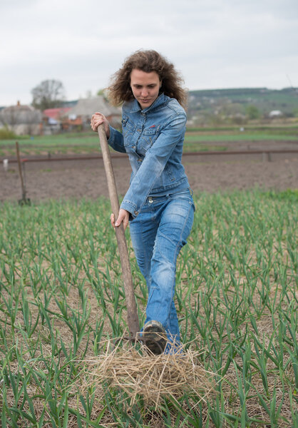 young woman resetting  raspberry sprouts