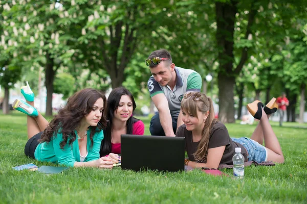 Group of young student using laptop together — Stock Photo, Image