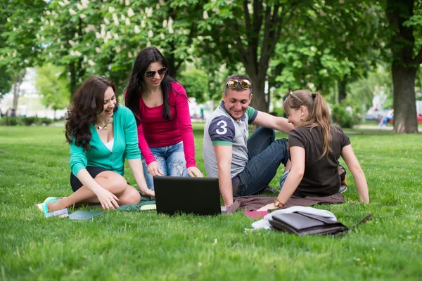 Gruppen av unga studenter använda laptop tillsammans — Stockfoto