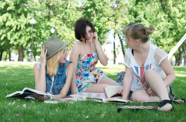 Группа молодых студентов, использующих ноутбук вместе — стоковое фото