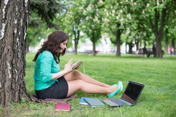 Blandras collegestudent sitter på gräset arbetar — Stockfoto