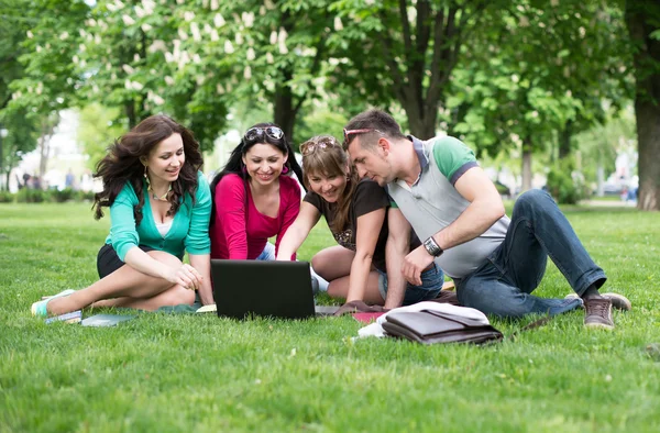 Four university students comparing their notes — Stock Photo, Image
