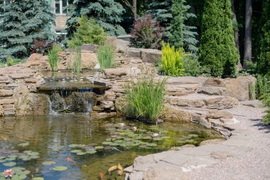 tropikal zen Bahçesi