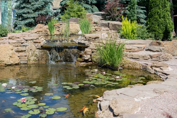 Tropical zen garden — Stock Photo, Image