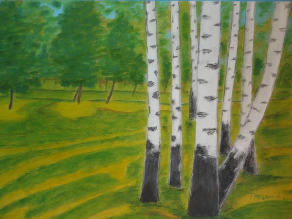 Birches painting nature — Stock Photo, Image