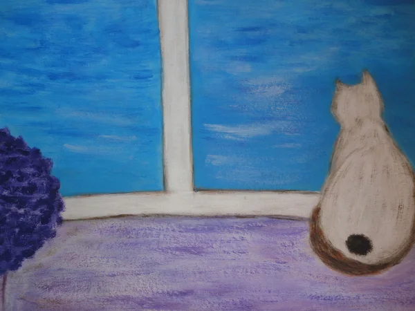 Gato en una ventana azul — Foto de Stock