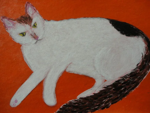 White cat painting orange background