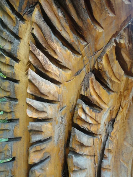Fond de sculpture sur bois — Photo