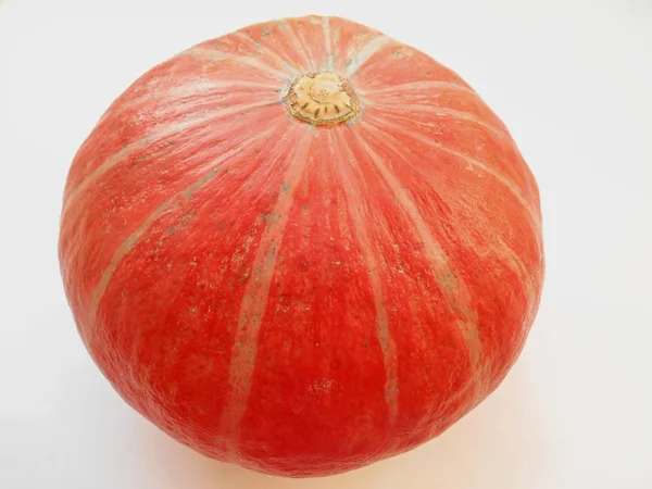 Zucca arancione su sfondo bianco — Foto Stock