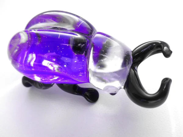 Scarabeo viola da un bicchiere su uno sfondo bianco — Foto Stock
