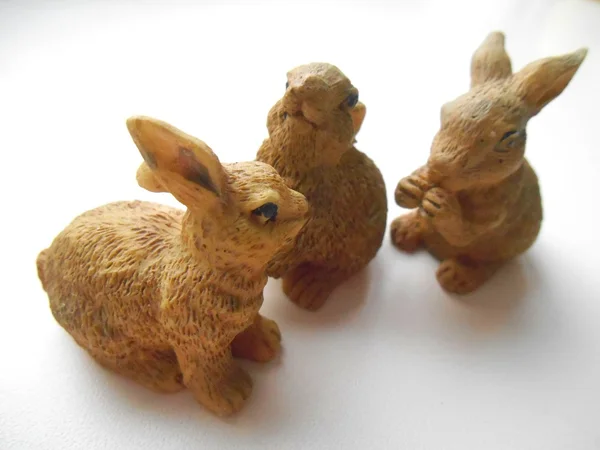 Rabbits on the white background — Stock Photo, Image