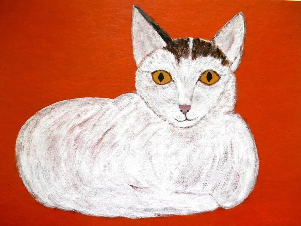Branco gato pintura laranja fundo — Fotografia de Stock
