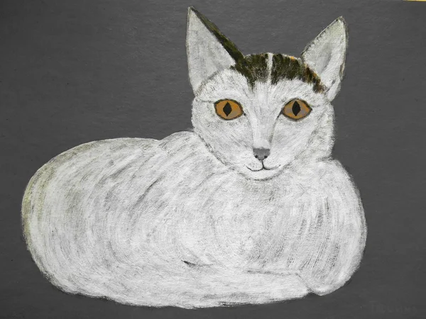 Pittura gatto bianco — Foto Stock