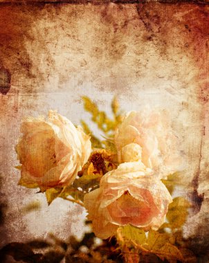 güzel güller ile Vintage kartpostal